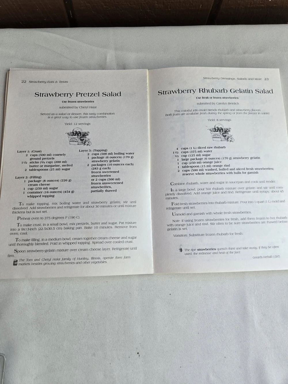 Strawberry Eats & Treats Cookbook